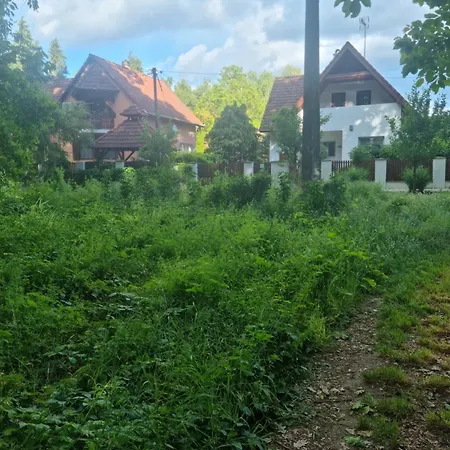 Mimoza Nyaralohaz Pusztavacs